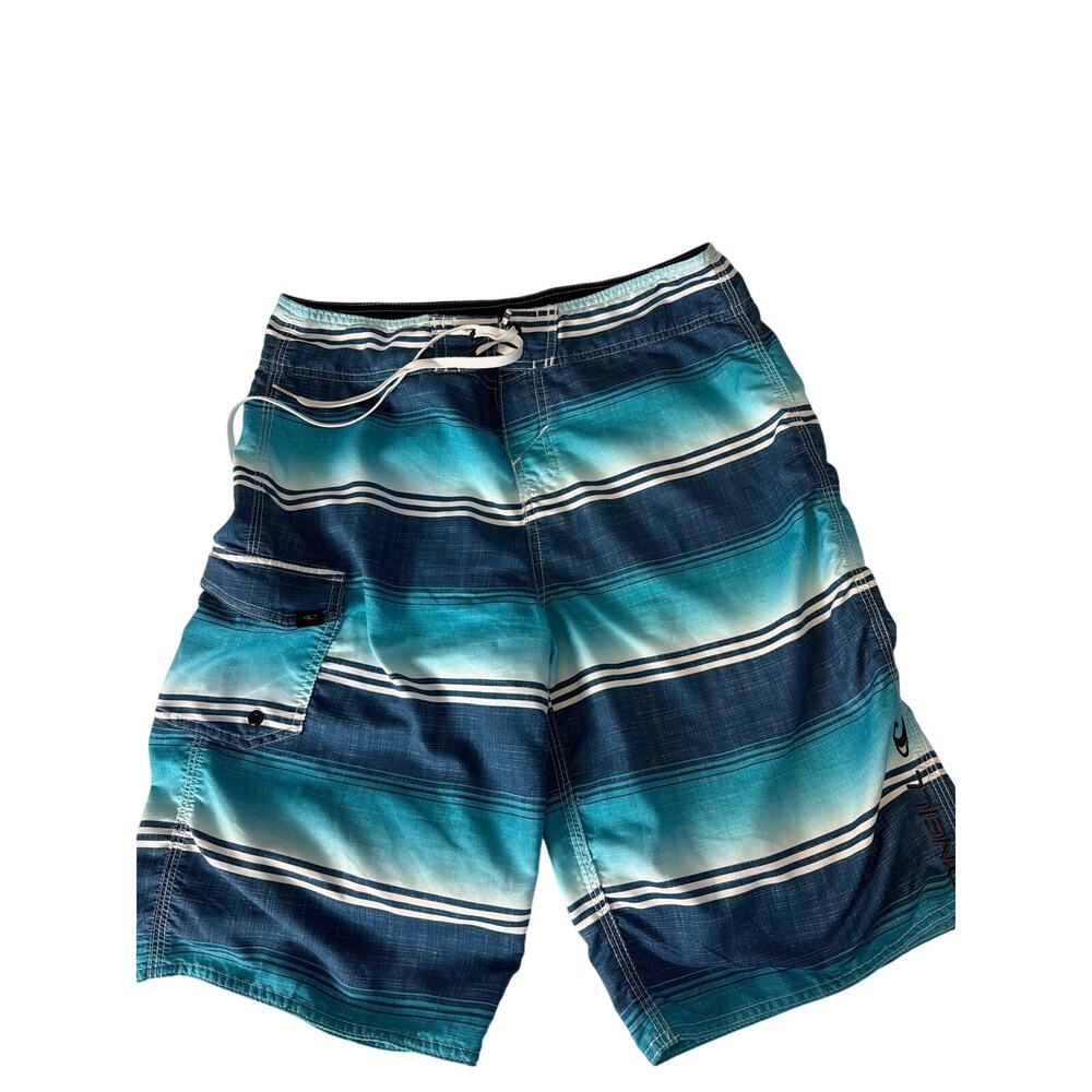 O'Neill Mens Size 36 Blue Striped Ombre Boardshorts Swim Trunk Cargo Pocket